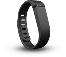 /images/2013-09-12/fitbit.png